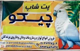 Chico Pet shop .ir پت شاپ چیکو